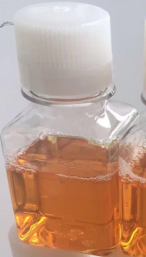 綿羊血清