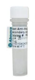 ALB monoclonal antibody, clone 2A3E6 